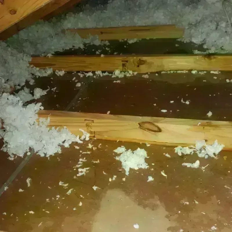 Attic Water Damage in Fillmore County, NE